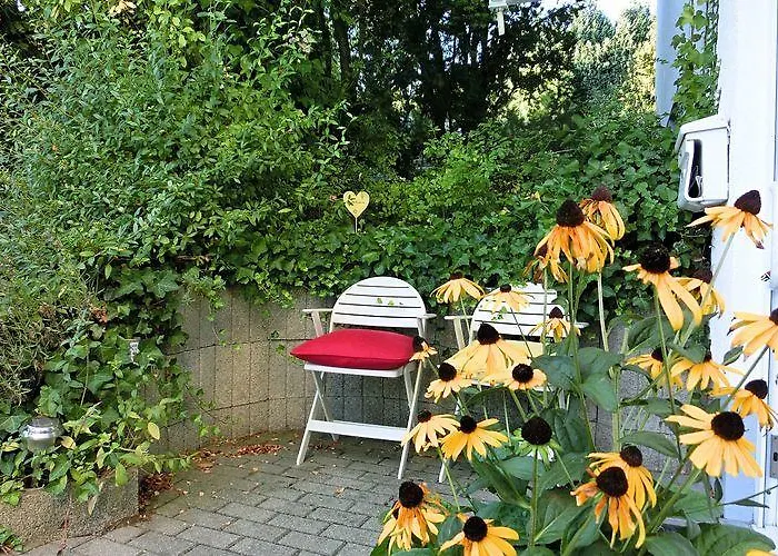 Ambiente * Homberg (Schwalm-Eder)